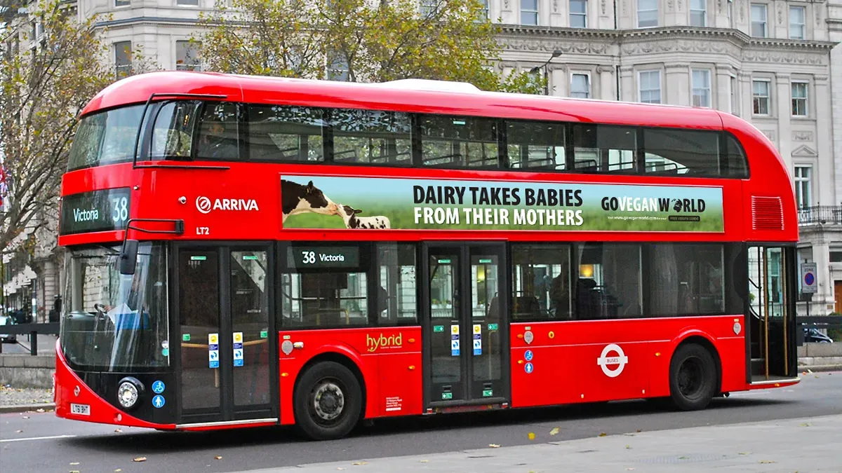 Why SMEs Choose to Advertise on Buses to Maximise Their ROAS